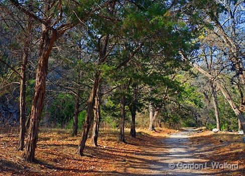 Maple Trail_44675.jpg - Lost Maples State Natural AreaPhotographed in Hill Country near Vanderpool, Texas, USA.